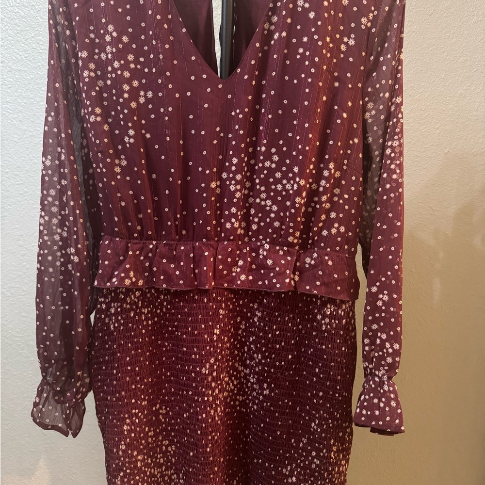 En Crème wine colored chiffon floral print dress